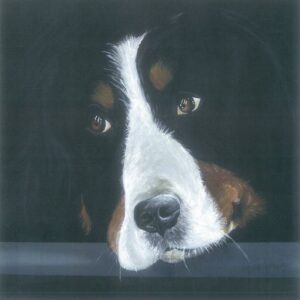 Bovaro-olio-su-tela-30x30-1-300x300Cinzia Cotellessa
