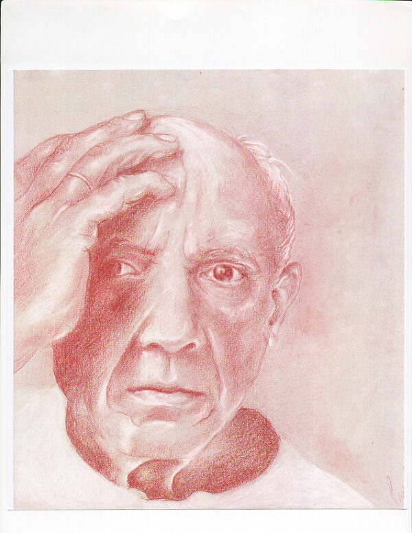Cinzia Cotellessa "PICASSO"
