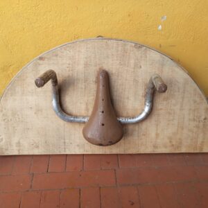 Giancarlo-Valdinoci-IL-TORO-300x300Il nostro Shop