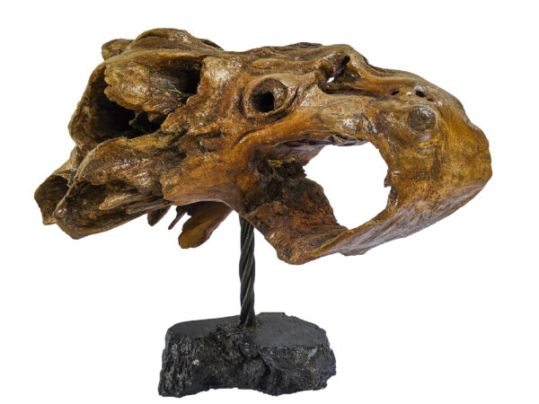 Marino Ruggero "EL TORO"